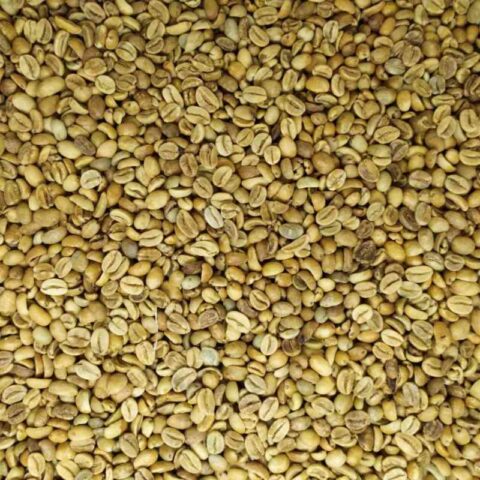 Arabica Gayo