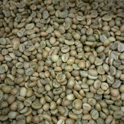 Robusta Lampung