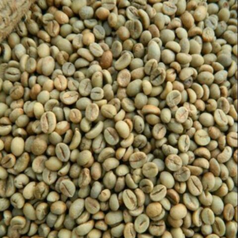 Robusta Banyuwangi (Kalibaru)
